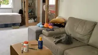 My cat, Yogi watching tennis