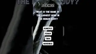 Science Riddle: What is the name of the largest bone in the human body?