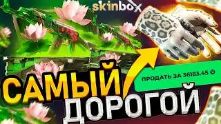 ОТКРЫЛ САМЫЙ ДОРОГОЙ КЕЙС на SKINBOX! 😳💰 ПРОВЕРКА САЙТА СКИН БОКС - ПРОМОКОДЫ! КАК ОКУПИТЬСЯ CS 2026