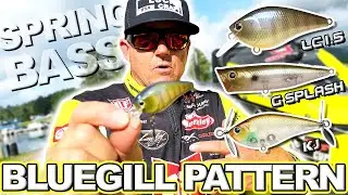 Bream Spawn & BlueGill Pattern Lure Choice SKEET REESE