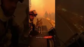 Rescue mission against fire🔥2 #trending #RescueAnimals #animals #shorts #Save animals #Save lifes