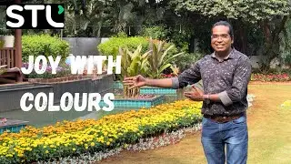 JOY WITH COLOURS #colourful #landscape #gardendesigner