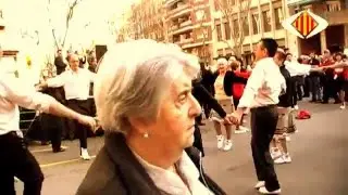 Sardana 