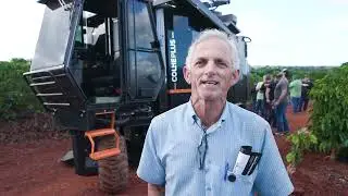 COLHEPLUS em ação no conilon! ☕