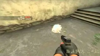 CS:GO ghost chicken?