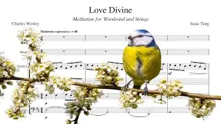 Love Divine: Meditation for Woodwind and Strings | Original Composition