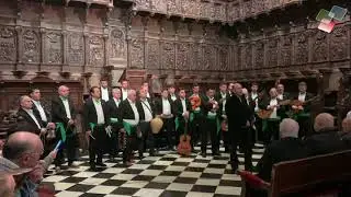 Canpanilleros de Vilchez en la Catedral de Jaén 2019