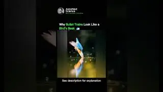 Kingfisher bird 🐦 &rarr; Bullet train 🚄 #physics #experiment #science #usa