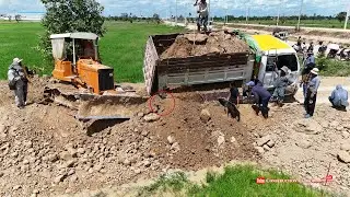 Incredible Job! Fill Farm Land​ Flood By Small Dump Truck Unloading Soil & Skills Dozer Pushing Soil