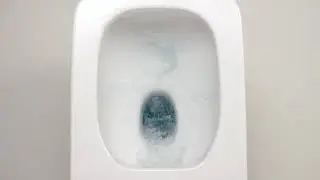 Безободковые унитазы Roca