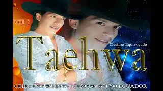TAEHWA 2026 - DESTINO EQUIVOCADO 