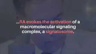 Oncotarget Trending Effects of Retinoic Acid in Non APL AML cells