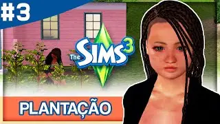 The Sims 3 | TEMOS UMA PLANTAÇÃO DE CAFÉ #3