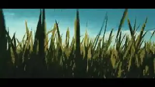 Padi | Colour Grade | Cinematic Short Film 4K | Samsung Galaxy Note 9 | Dji Osmo mobile 3