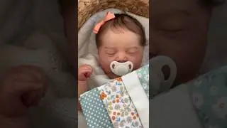 🌿 Color & Theme Inspo for Reborn Baby Box Opening #shorts #reborn #doll