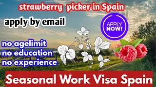 spain work permit visa 2023  | spain work visa for indian | spain agriculture work for indian
