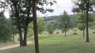 Video Tour of Guest Cabin at Miller Bison at Elkhead Ranch