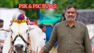 చిలకలూరిపేట  జూనియర్స్1వ పూచ్చకాయల శేషద్రి చౌదరి  (కొమరంబీమ్   బజరంగి )
