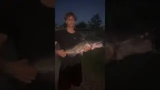 Trust the process #az #catfish #channelcatfish