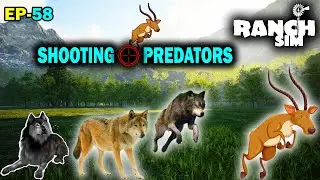 How to Find and Kill Predators | Ranch Simulator | Ep58