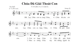 Chúa Đã Giải Thoát Con - Thánh Vịnh 29 (St: Tường Ân) - Ca len di | Lyrics