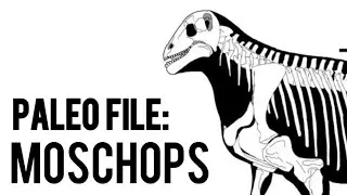 PaleoFile - Moschops
