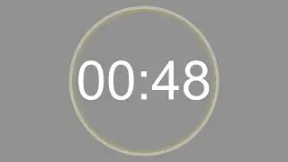 48 SECONDS - 4K - COUNTDOWN IN REVERSE - SECOND TIMER -