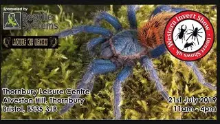 My Pickups ( Western Invert Show 2019 )