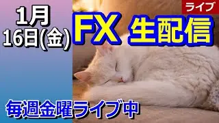 【TAKA FX】中道改革連合？笑　FX生配信　1月16日（金）夜22時30分ごろ～
