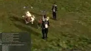 Lineage 2 summon kitty fight