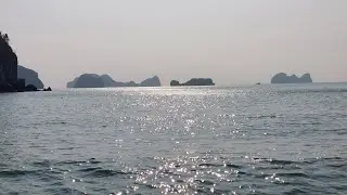 Cat ba