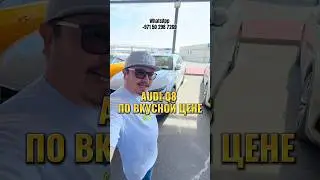 Audi Q8 из Дубая