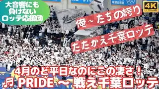 千葉ロッテ応援団の凄さ スタンド大音響にも負けない応援歌「PRIDE～戦え千葉ロッテ」4月ど平日なのにこの人数とまとまりはさすが12球団一と言われるだけある！