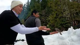 Hot Tent Camping & Feeding Mountain Birds | Mount Baker Wilderness