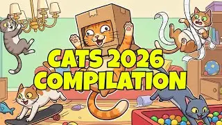 TRY NOT TO LAUGH 2026 CATS EDITION