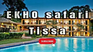 Ekho Safari tissa| #srilanka #viral #couple #nature #travel #hotel🌊