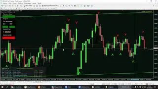 Rob&ocirc; BOSS TRADER FREE PROS TRADERS