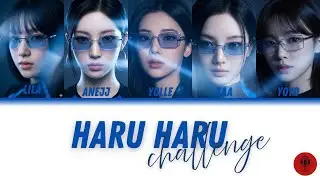 D-GURLZ&rsquo;s Haru Haru Challenge (Original: BIGBANG (covered by CORTIS MARTIN))