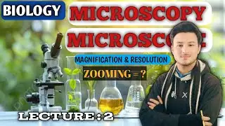 What is a Microscope? | Types of Microscopes, Magnification & Resolution Explained