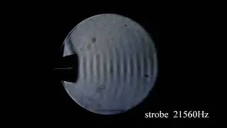 Schlieren imaging Part3 : Viewing continuous sound waves
