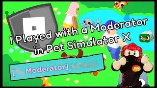 I Played with a Moderator in Pet Simulator X