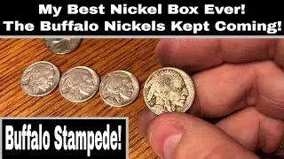 Best Nickel Box Ever - Buffalo Stampede!