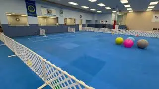 Treibball -Balls in Order- Novice Course -January 7, 2026