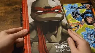 Tmnt IDW Collection vol 1 review!!!