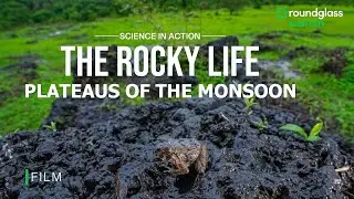 The Rocky Life: Plateaus of the Monsoon ft. Varad Giri | Western Ghats India | @RoundglassSustain