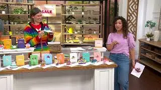 Lovepop Cards 12-Pack Birthday Cards in Box Assortment on QVC
