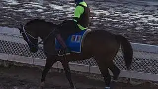 Must watch Caymanas Park Exercise Runners on the card galore DOUBLE and TRIPLE right here 23/01/26
