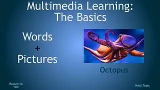 Richard E. Mayer's 12 Principles of Multimedia Learning