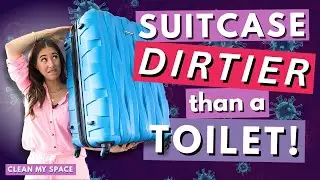 Why You HAVE To Clean Your SUITCASE!