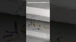 тежка солидом #art #graffiti #drawing #draw #tagging #tagg